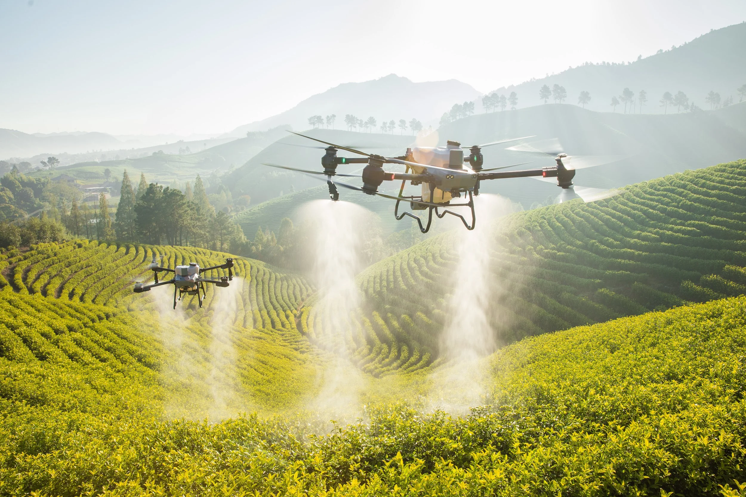 Spraying